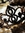 Charmaine (Empress_Charla) | 335 comments