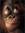 Chunkymonkey12 | 1 comments