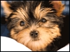 Goodreads profile picture for @Mist