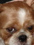 Doug
