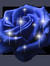 83star