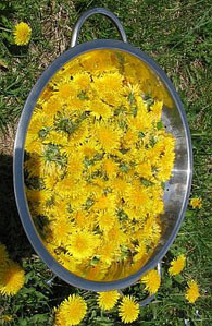 MP = MAP = Mike Parker