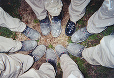 The New Service Wordpress