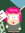 CleverGirl (stonerfoods) | 1 comments