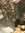 Fauthmann | 8 comments