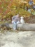 Kwirebaugh