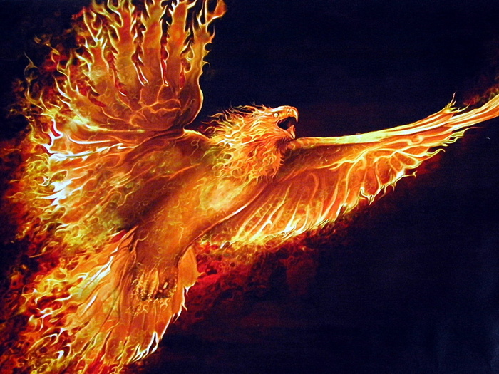 Goodreads profile picture for @Crocket