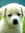 Annie | 1 comments