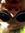 Kevin (khanes) | 13 comments
