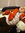 member photo member photo