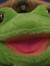 Froggy