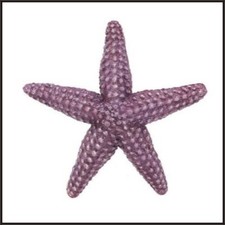 Starfish