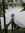 Shadowrider | 7 comments