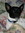 Peggy | 72 comments