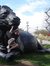 Matthew...