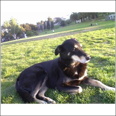 Goodreads profile picture for @horn