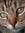 Leafpool | 2 comments