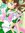 Lilyanna (book_worm1233) | 5 comments