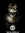 Lucy | 5 comments