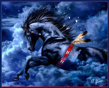 ¢нυя¢н яανєη**