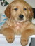 Tiffany♪♫