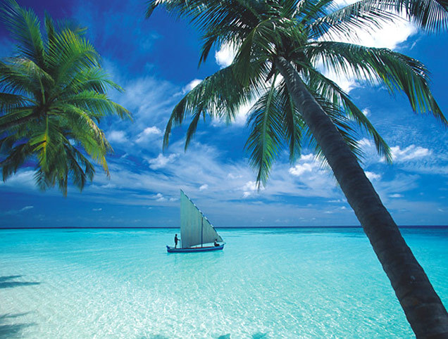 Goodreads profile picture for @Robe
