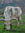 Debbie (gooddog32) | 1 comments