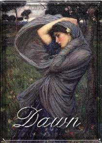 Dawn