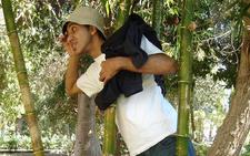 Tariq ismail