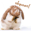 Goodreads profile picture for @squish