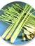 Lemongrass