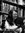 Robyn Bave | 6 comments