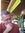 Tom | 1 comments