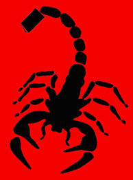 Scorpions