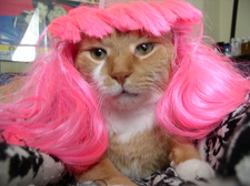 Emily  Ashley Haberman