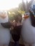 Mischa