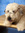 Myami7 | 6 comments