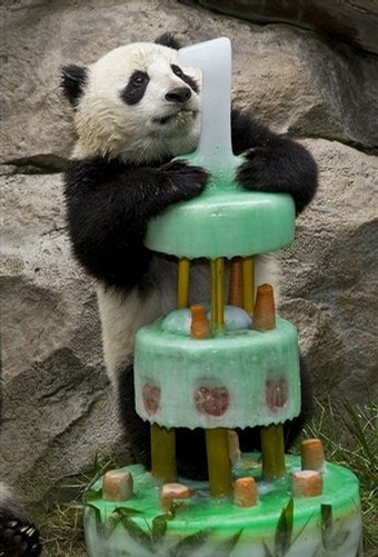 Goodreads profile picture for @lexi