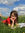 Rafaela | 136 comments