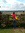 Tamara | 1 comments