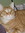 Gina (catmother) | 1 comments