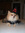 member photo member photo
