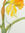 Suzanne94 | 2 comments