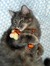 Kat42389 Harrison