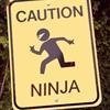 Ninja