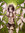 Esmmett covelt | 1 comments