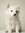 Ashley Saunders | 7 comments