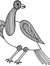 Robin C