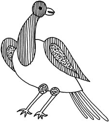 Robin C