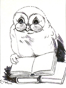 Readerowl Ganske